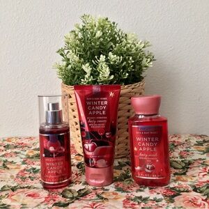 Bath and Body Works Mini Gift Set